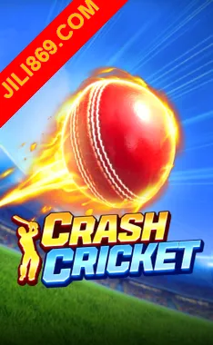 Crash Cricket Game Image
